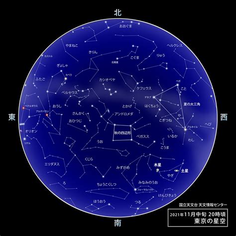 11月28日 星座|11月28日生日書（射手座）